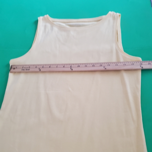 Talbot L Tank - Picture 3 of 8